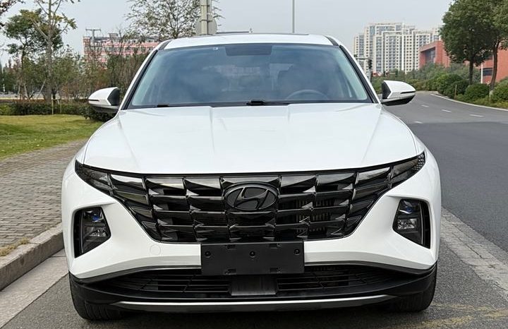 
								Hyundai Tucson полный									