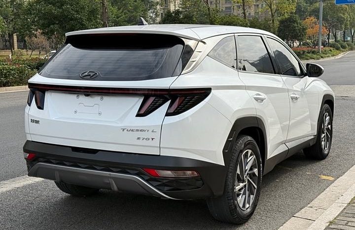 
								Hyundai Tucson полный									