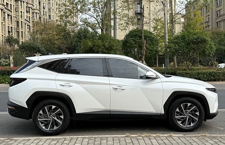 
								Hyundai Tucson полный									