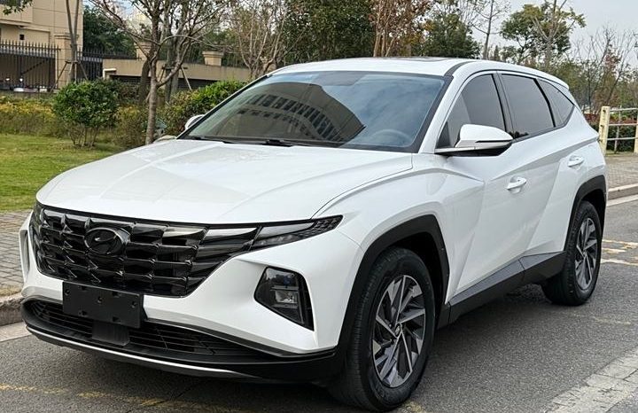 
								Hyundai Tucson полный									