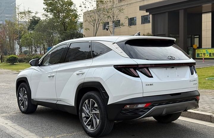 
								Hyundai Tucson полный									