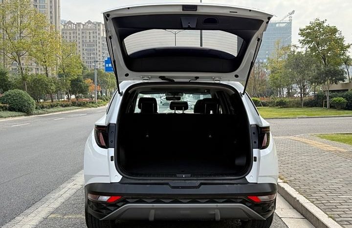 
								Hyundai Tucson полный									