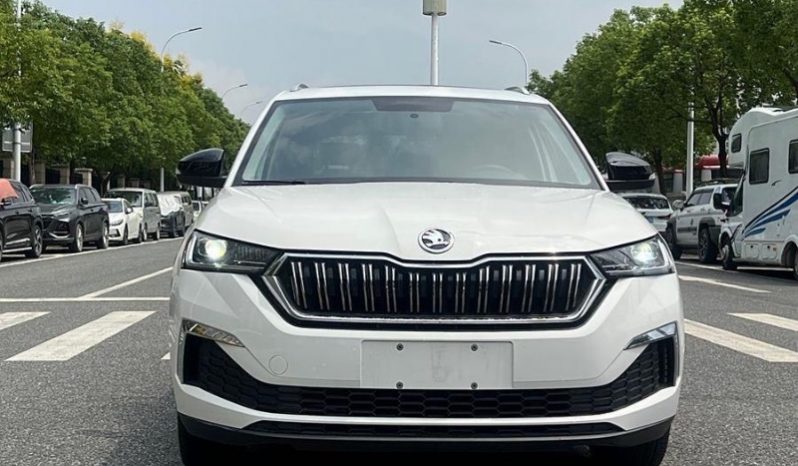 
								Skoda Kamiq полный									