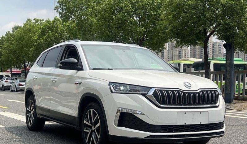 
								Skoda Kamiq полный									