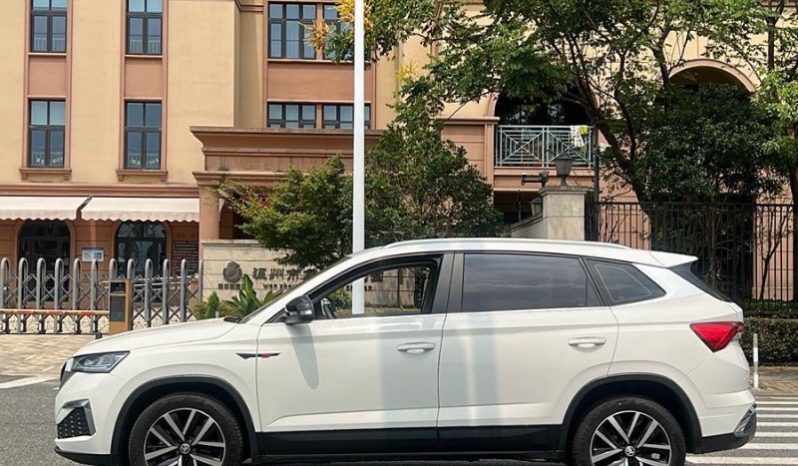 
								Skoda Kamiq полный									