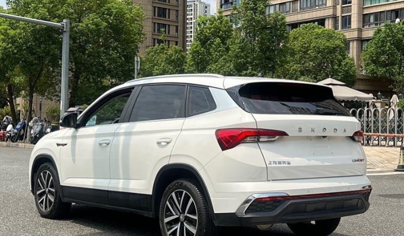 
								Skoda Kamiq полный									