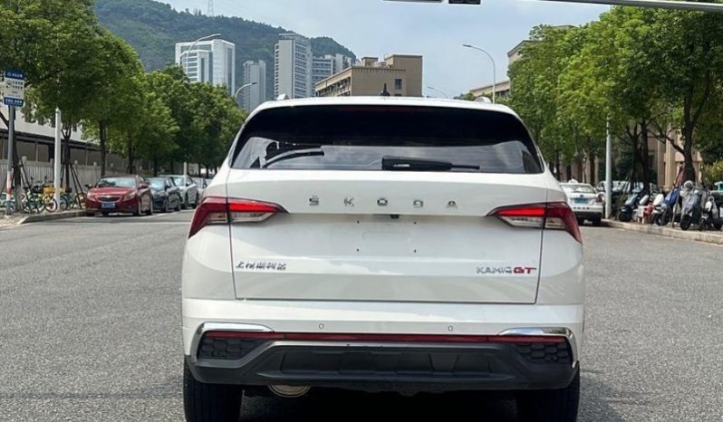 
								Skoda Kamiq полный									