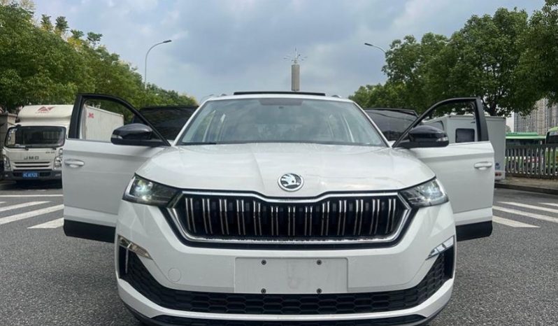 
								Skoda Kamiq полный									