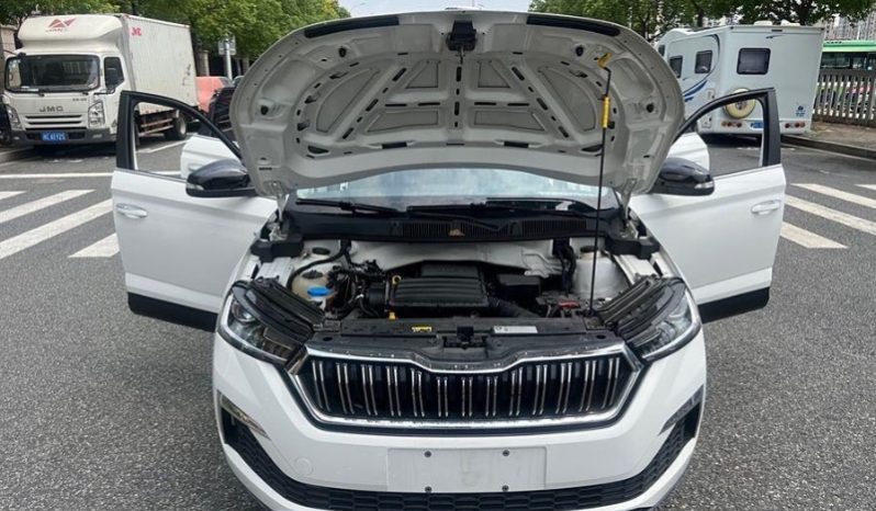 
								Skoda Kamiq полный									