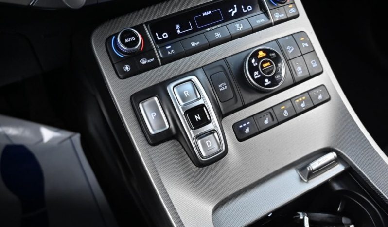 
								Hyundai Palisade полный									