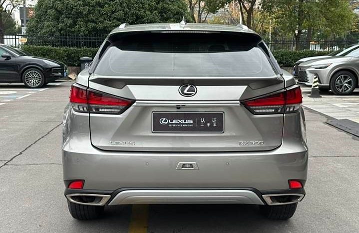 
								Lexus RX полный									