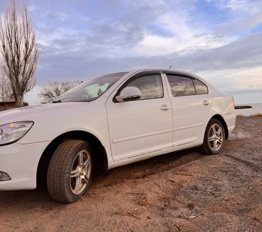 
								Skoda Octavia полный									