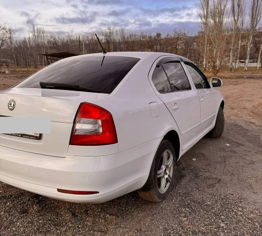 
								Skoda Octavia полный									