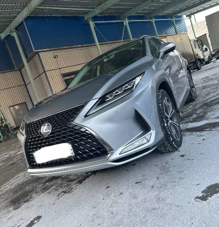 
								Lexus RX полный									