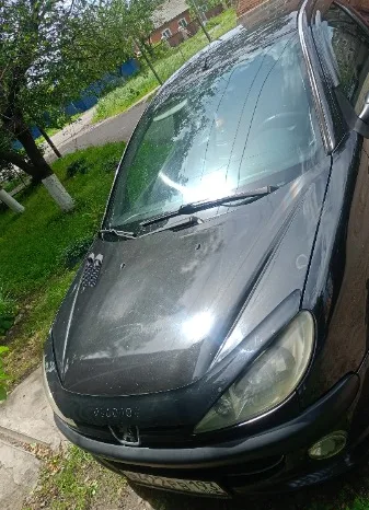 
								Peugeot 206 полный									