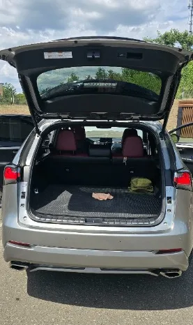 
								Lexus NX полный									