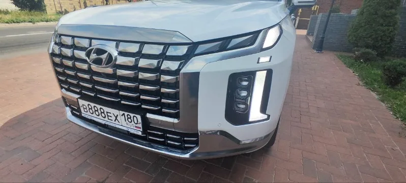 
								Hyundai Palisade полный									