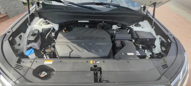
								Hyundai Palisade полный									