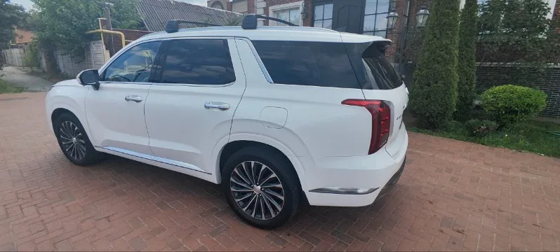 
								Hyundai Palisade полный									
