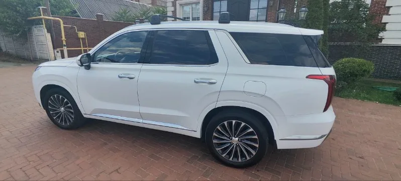 
								Hyundai Palisade полный									