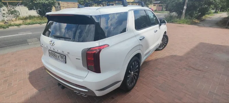 
								Hyundai Palisade полный									